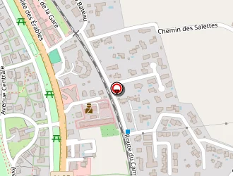 Carte de Deschaseaux Daniel à Château-arnoux-saint-auban