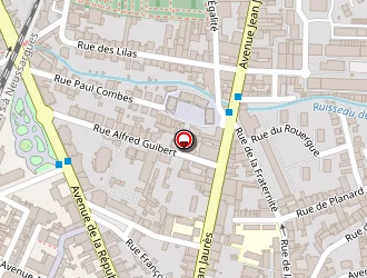 Carte de Niel Patrice à Millau