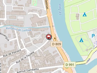 Carte de Pirtuk.fr à Millau