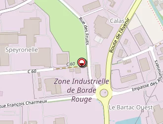 Carte de Boyer à Moissac