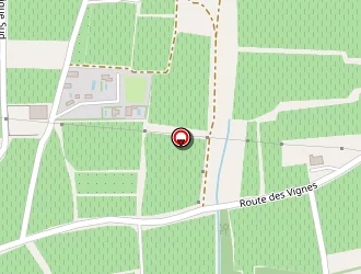 Carte de Cecchini Marcel à Sarrians