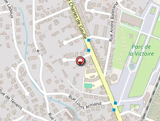 Carte de Seignolle Gisèle à Millau