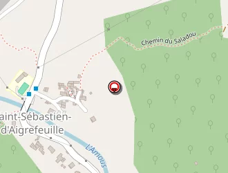 Carte de Rubio Patrick à Saint-sébastien-d'aigrefeuille