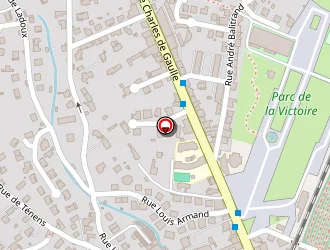 Carte de Florence Cailloux à Millau