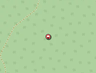 Carte de Bati Born à Mézos