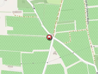 Carte de Morin Thierry à Sarrians