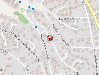 Carte de Larinier Michel à Millau