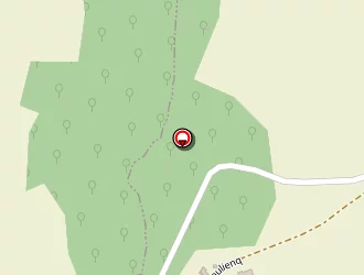 Carte de Biller Laetitia à Albi