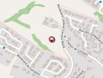 Carte de Gonzalez Jean-josé à Millau