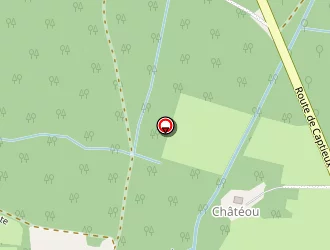 Carte de Mairie à Losse