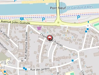 Carte de Vpf Auto Diesel Bis à Alès