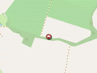 Carte de Galzin Raymond à Nérac