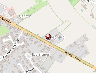 Carte de Saidi Hicham à Nérac