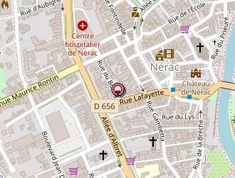 Carte de Potier Héléna à Nérac