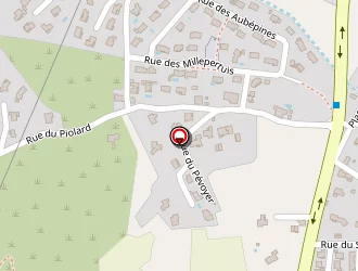 Carte de Figuière Stéphan à Peipin