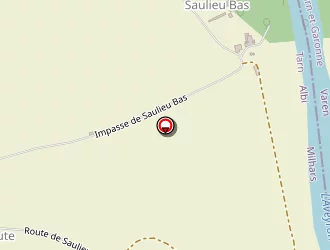 Carte de 'ses' à Milhars