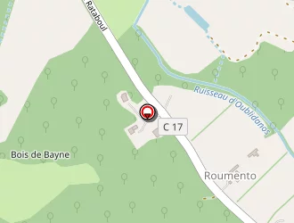 Carte de Lones (e.a.r.l Des) à Saint-benoît