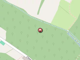 Carte de Tribal Team à Moissac