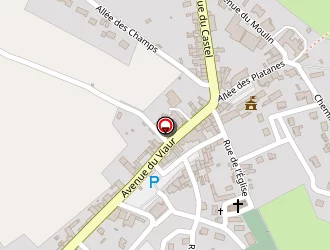 Carte de Icher Jérôme à Mirandol-bourgnounac