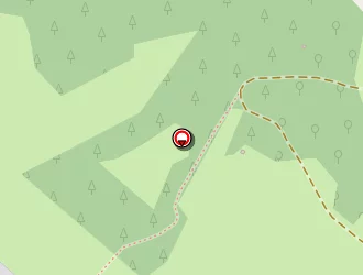 Carte de Savy Bernard à Mirandol-bourgnounac