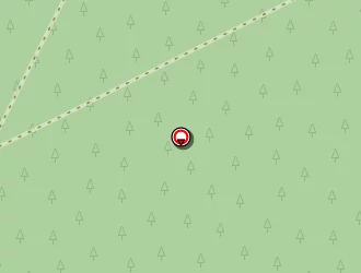 Carte de Lasserre Jean à Solférino