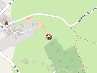 Carte de Busson Didier à Riols (le)