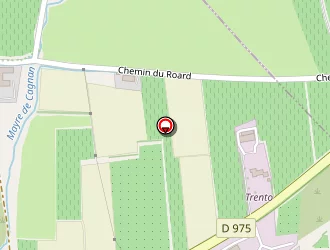 Carte de Entreprise Trento à Orange