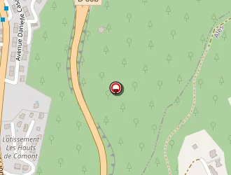 Carte de Vincent Didier à Alès