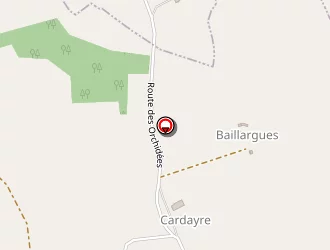 Carte de Checchi Rudy à Grayssas