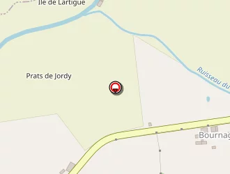 Carte de Ignace Guy à Puycornet