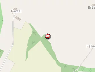 Carte de Picard Joël à Castelsagrat