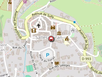 Carte de Cunienq Jacques à Salles-curan