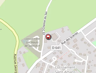 Carte de Constans Guy à Salmiech