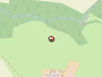 Carte de De Peyralbe (gaec) à Salmiech