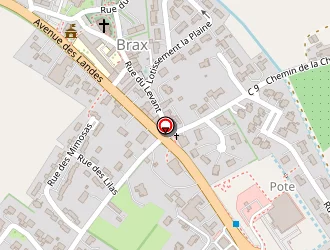 Carte de Collin Cynthia à Brax