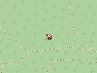 Carte de Peron à Mimizan