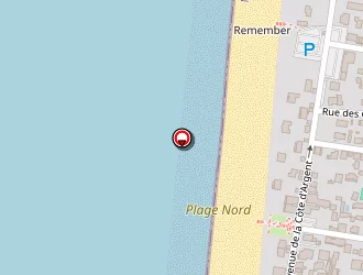 Carte de Peysale Philippe à Mimizan