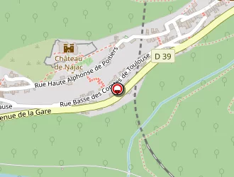 Carte de Olley Sarah à Najac