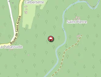 Carte de Benon Anne à Saint-germain-de-calberte