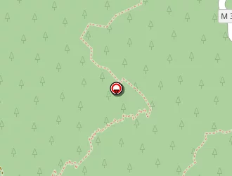 Carte de Ferrari Eric à Auron