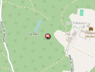 Carte de D . E . Services à Ambrus