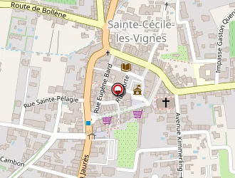 Carte de Ctondepot à Sainte-cécile-les-vignes