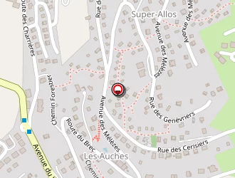 Carte de Au Chaudron D'arlette à Allos