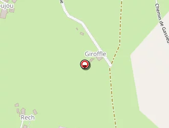 Carte de Menuiserie Du Rech à Dondas