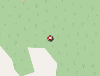 Carte de Delrieu Yves à Caylus