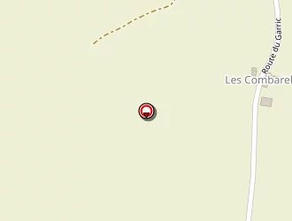 Carte de Ginestet Jacques à Rieupeyroux