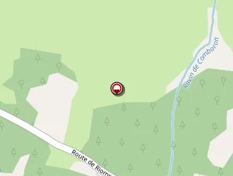 Carte de Urgence (services Locaux) à Rioms