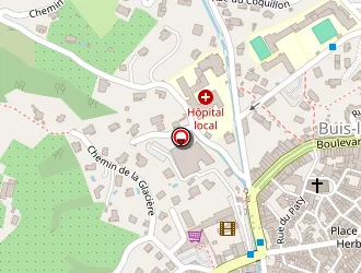 Carte de Visser Patrick à Buis-les-baronnies