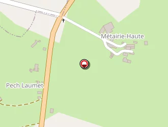 Carte de Martinez Michel à Parisot