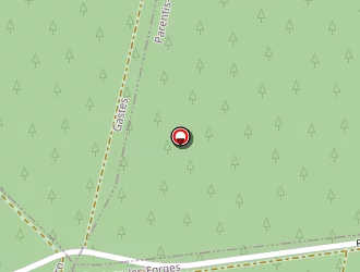 Carte de Ducompte Gérard à Saint-paul-en-born